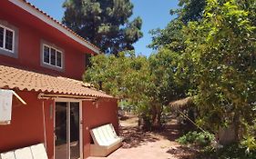 Finca Rural Torres Casas 1 Y 4 Bed & Breakfast